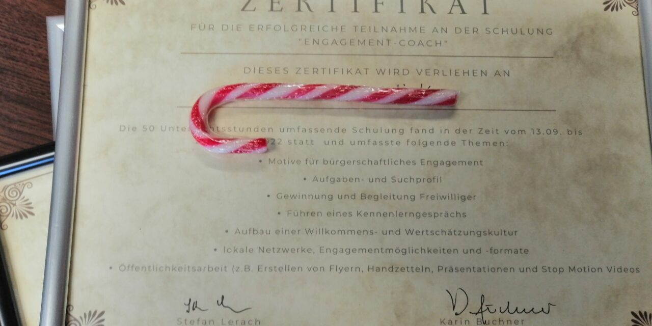 17 Teilnehmende erhielten ihr Zertifikat zum „Engagement-Coach“