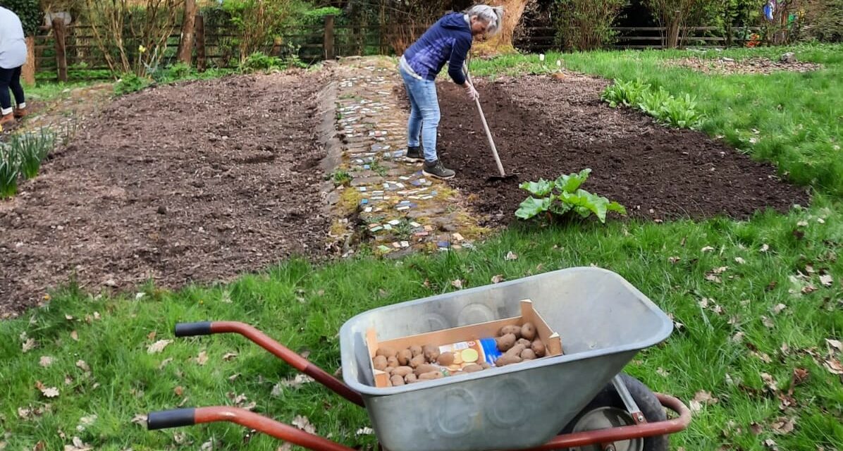 Es geht wieder los: wir starten in die Gartensaison