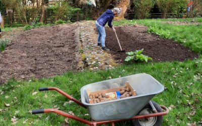 Es geht wieder los: wir starten in die Gartensaison