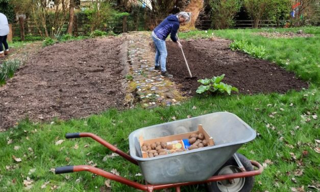 Es geht wieder los: wir starten in die Gartensaison