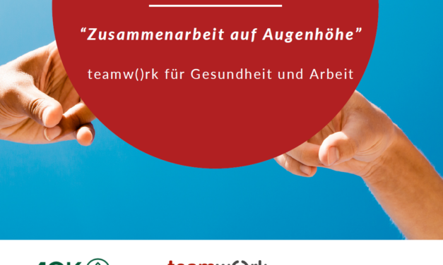 Dokumentation zur Jahresveranstaltung „Zusammenarbeit auf Augenhöhe“ mit Beitrag der WALI erschienen