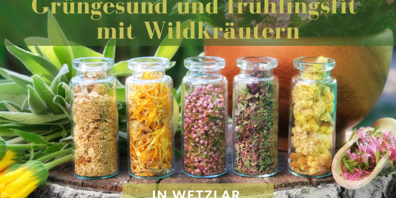 Macht beim Workshop „Wildkräuter-Hausapotheke im Frühling“ mit