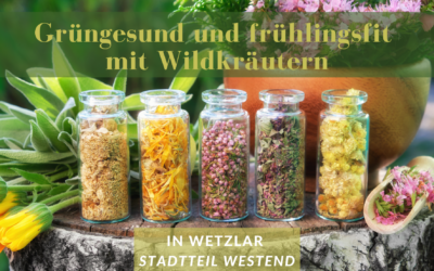 Macht beim Workshop „Wildkräuter-Hausapotheke im Frühling“ mit