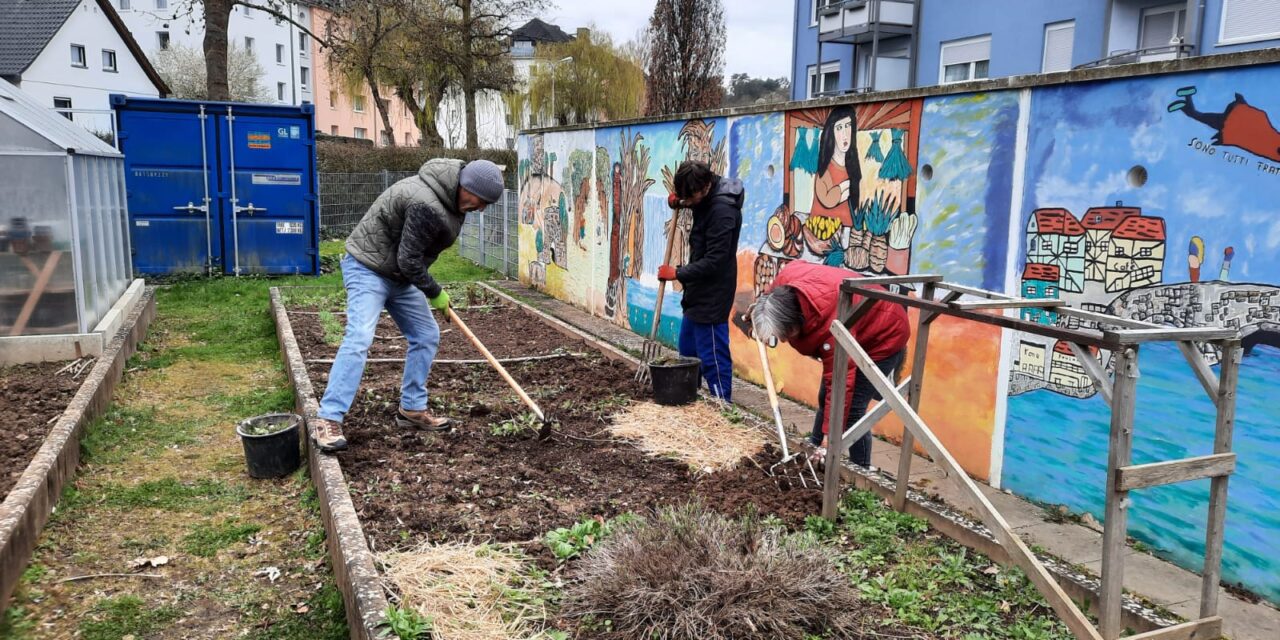 Aufblühen im Westend: Die Garten-Gruppe gestaltet die grüne Zukunft im Quartier. Ein Bericht