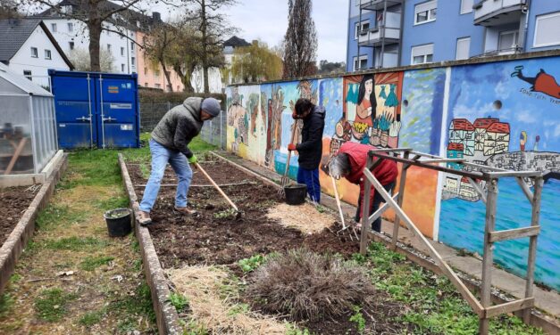 Aufblühen im Westend: Die Garten-Gruppe gestaltet die grüne Zukunft im Quartier. Ein Bericht