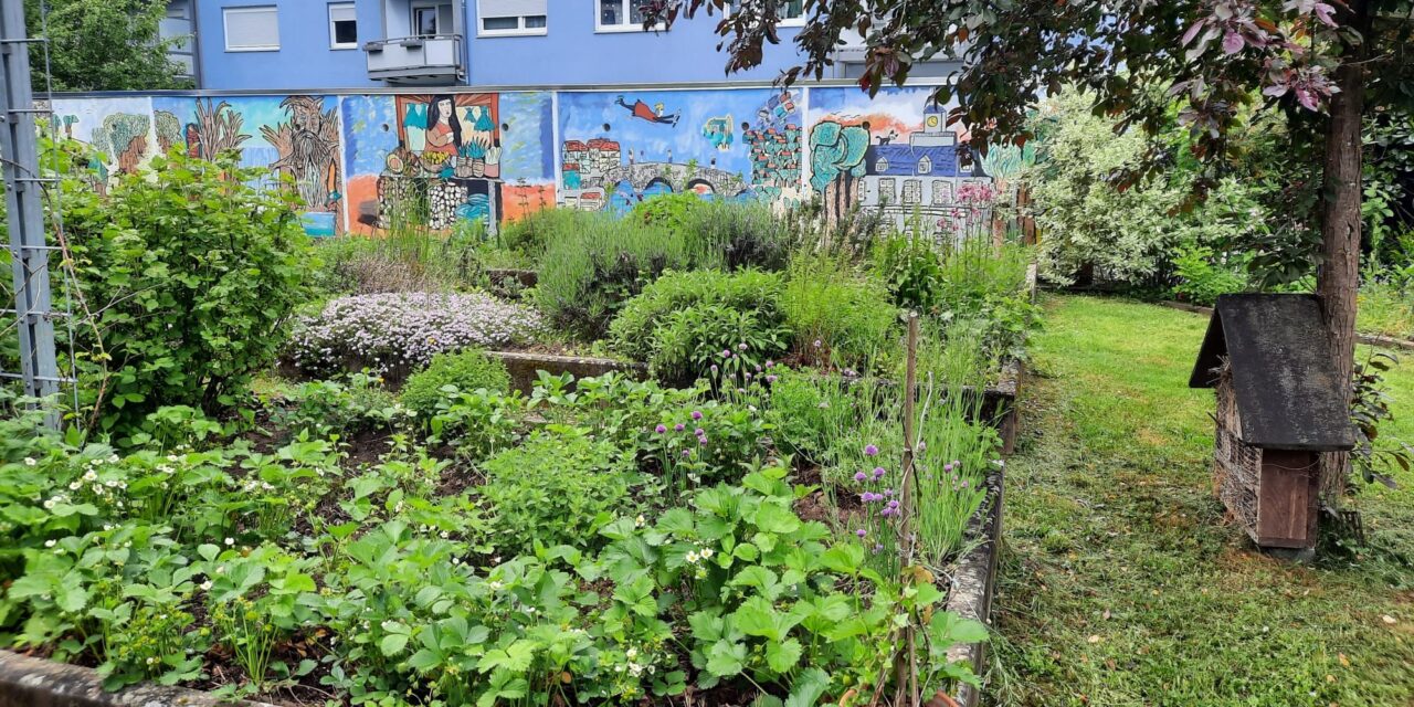 Start in die Gartensaison im Westend: neben den Pflanzen wächst auch die Gemeinschaft
