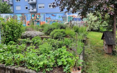 Start in die Gartensaison im Westend: neben den Pflanzen wächst auch die Gemeinschaft