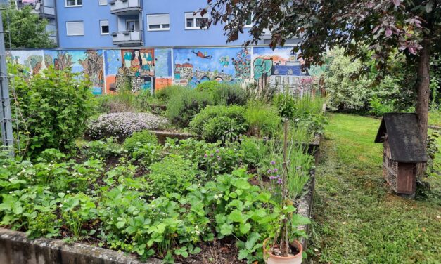 Start in die Gartensaison im Westend: neben den Pflanzen wächst auch die Gemeinschaft