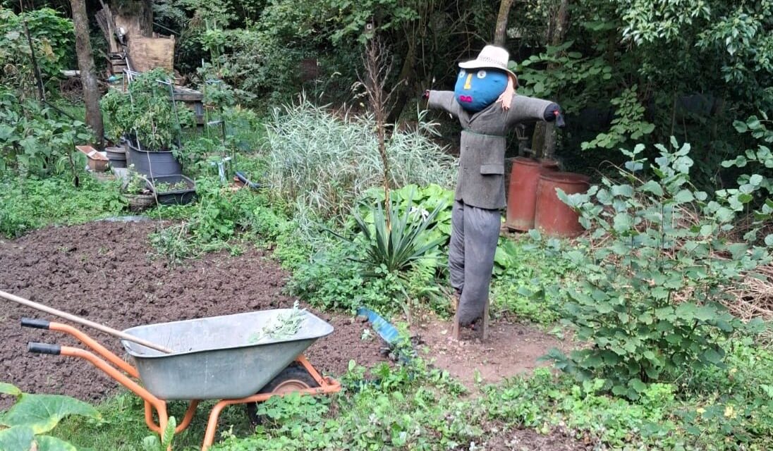 Rückblick auf das Gartenjahr 2026 bei WALI: voller Ideen, Begegnungen und neuer Wege