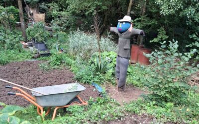 Rückblick auf das Gartenjahr 2026 bei WALI: voller Ideen, Begegnungen und neuer Wege
