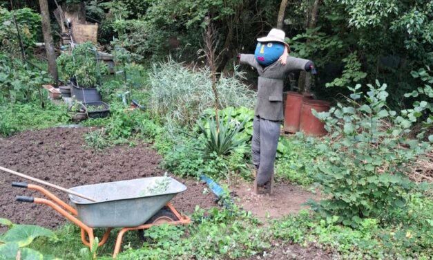 Rückblick auf das Gartenjahr 2026 bei WALI: voller Ideen, Begegnungen und neuer Wege